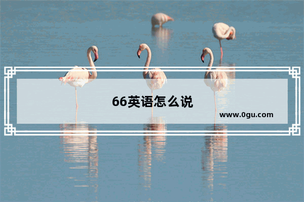 66英语怎么说