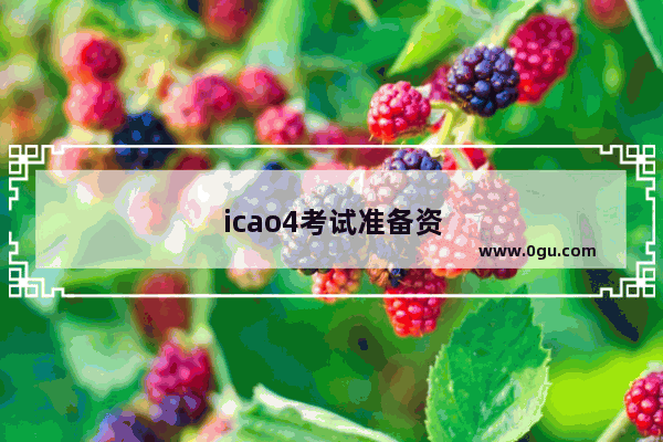 icao4考试准备资料