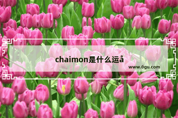 chaimon是什么运动品牌