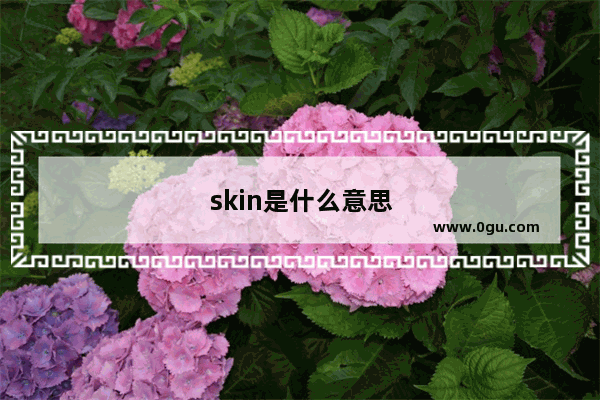 skin是什么意思