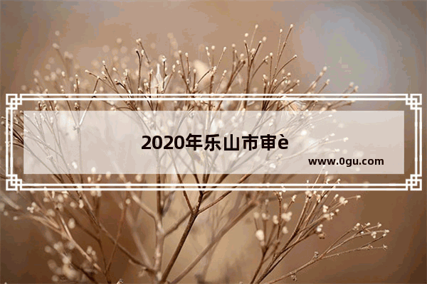 2020年乐山市审车费用是多少