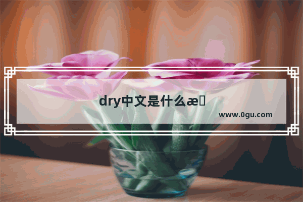 dry中文是什么意思