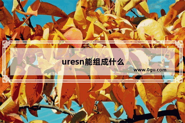 uresn能组成什么单词