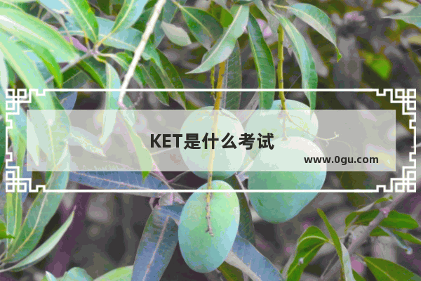 KET是什么考试