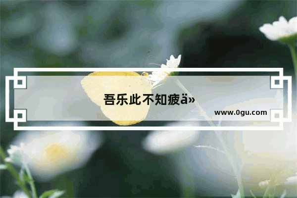 吾乐此不知疲什么意思