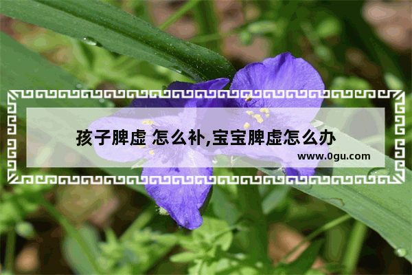 孩子脾虚 怎么补,宝宝脾虚怎么办