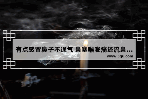 有点感冒鼻子不通气 鼻塞喉咙痛还流鼻涕头晕晕的 头晕鼻塞怎么办