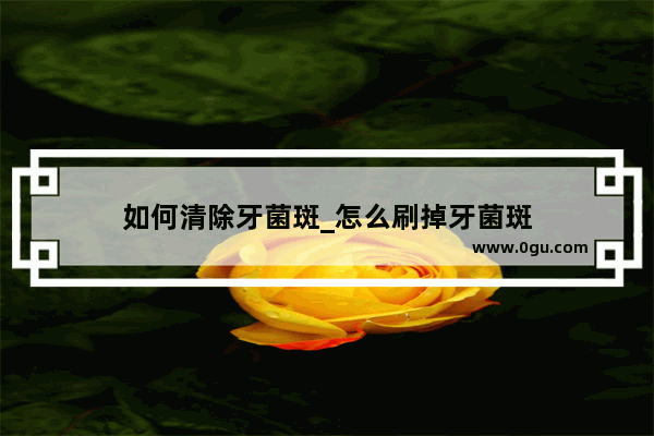 如何清除牙菌斑_怎么刷掉牙菌斑