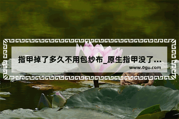 指甲掉了多久不用包纱布_原生指甲没了会长吗