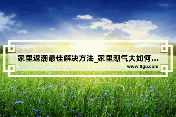 家里返潮最佳解决方法_家里潮气大如何除潮