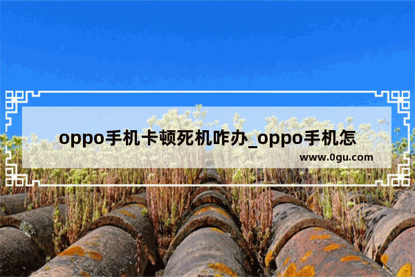 oppo手机卡顿死机咋办_oppo手机怎么卡后台