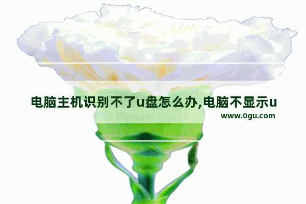 电脑主机识别不了u盘怎么办,电脑不显示u盘怎么办