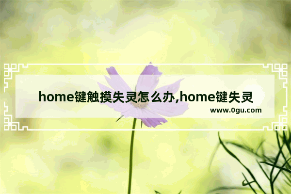 home键触摸失灵怎么办,home键失灵怎么办