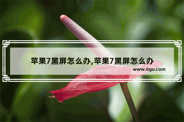 苹果7黑屏怎么办,苹果7黑屏怎么办