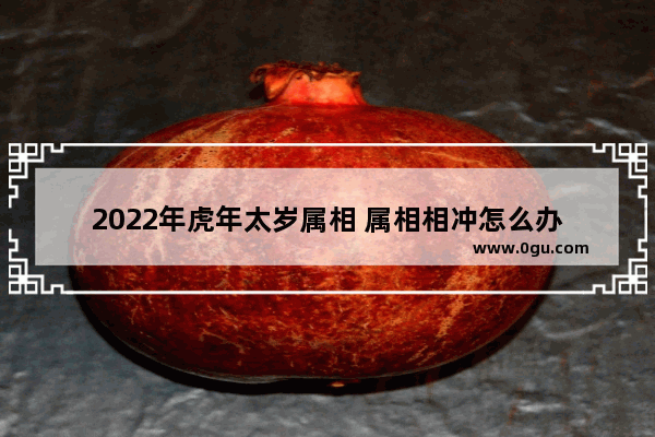 2022年虎年太岁属相 属相相冲怎么办