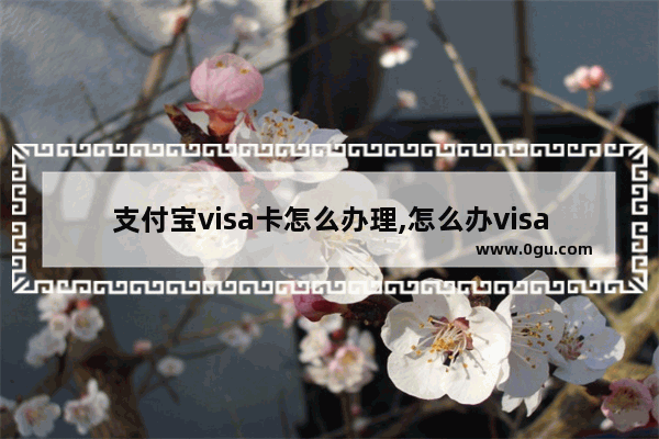 支付宝visa卡怎么办理,怎么办visa卡