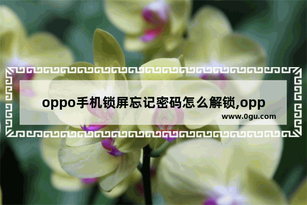 oppo手机锁屏忘记密码怎么解锁,oppo手机忘记了密码怎么办