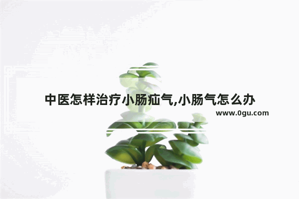 中医怎样治疗小肠疝气,小肠气怎么办