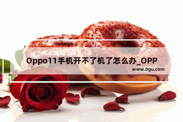 Oppo11手机开不了机了怎么办_OPPO手机开不了机 开机了也没声音