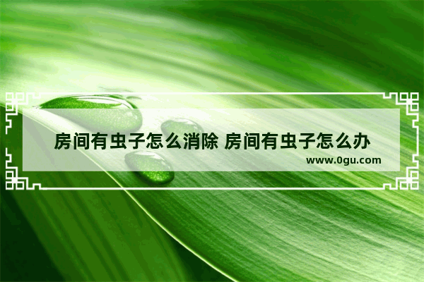 房间有虫子怎么消除 房间有虫子怎么办