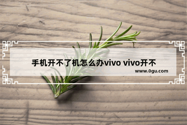 手机开不了机怎么办vivo vivo开不了机怎么办