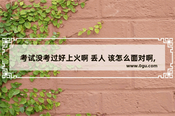 考试没考过好上火啊 丢人 该怎么面对啊,考得不好怎么办