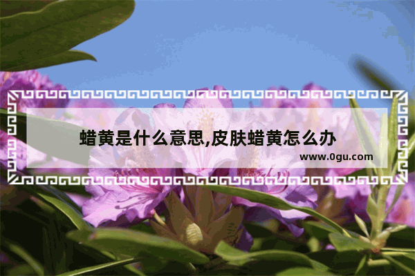 蜡黄是什么意思,皮肤蜡黄怎么办