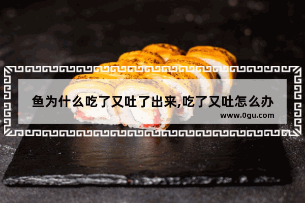 鱼为什么吃了又吐了出来,吃了又吐怎么办