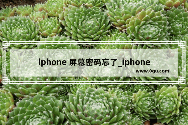 iphone 屏幕密码忘了_iphone忘记锁屏密码了怎么办