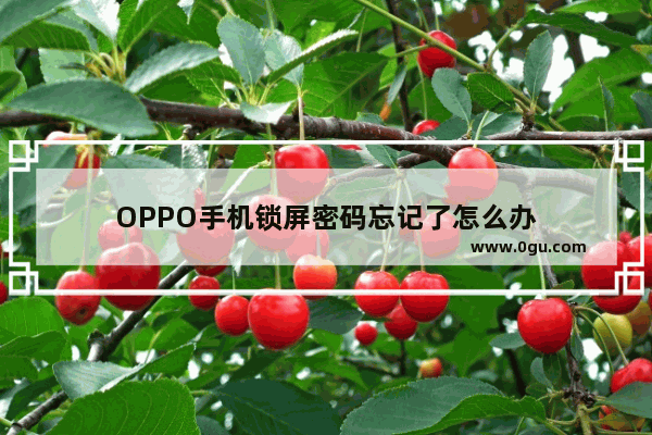 OPPO手机锁屏密码忘记了怎么办