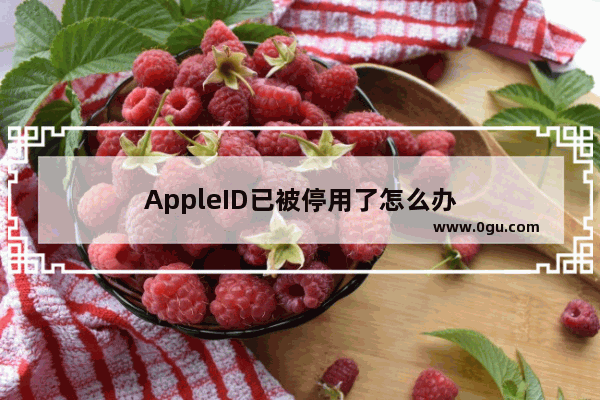 AppleID已被停用了怎么办