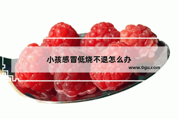 小孩感冒低烧不退怎么办