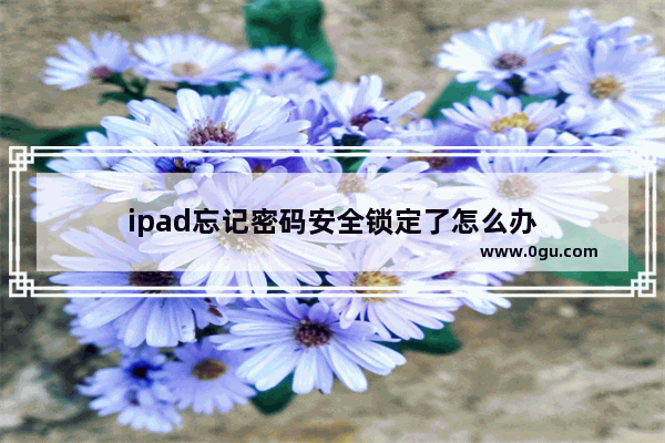 ipad忘记密码安全锁定了怎么办