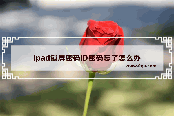 ipad锁屏密码ID密码忘了怎么办