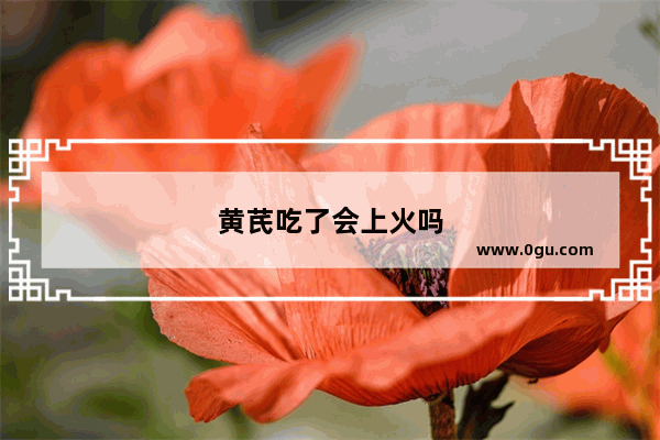 黄芪吃了会上火吗