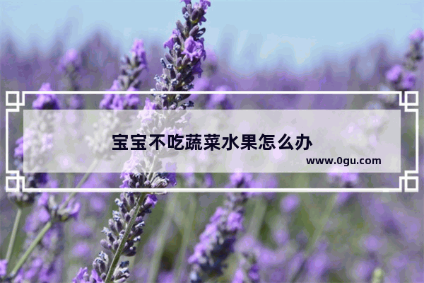 宝宝不吃蔬菜水果怎么办