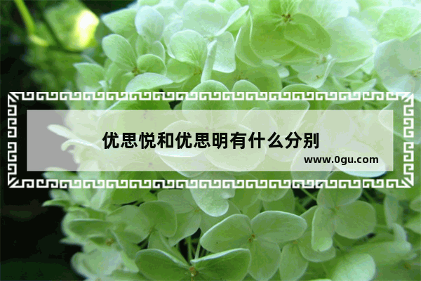 优思悦和优思明有什么分别