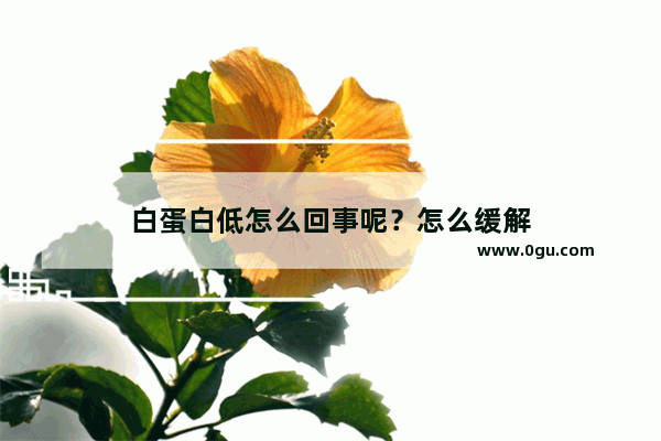 白蛋白低怎么回事呢？怎么缓解