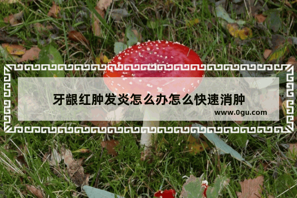 牙龈红肿发炎怎么办怎么快速消肿