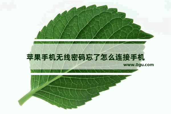 苹果手机无线密码忘了怎么连接手机