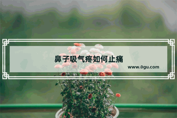 鼻子吸气疼如何止痛