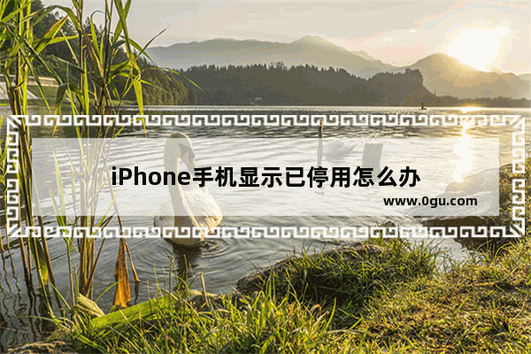 iPhone手机显示已停用怎么办