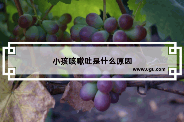 小孩咳嗽吐是什么原因