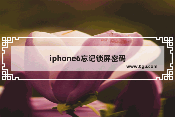 iphone6忘记锁屏密码