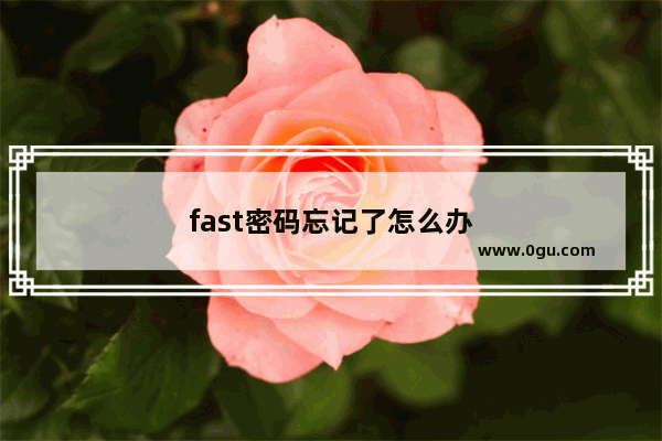 fast密码忘记了怎么办