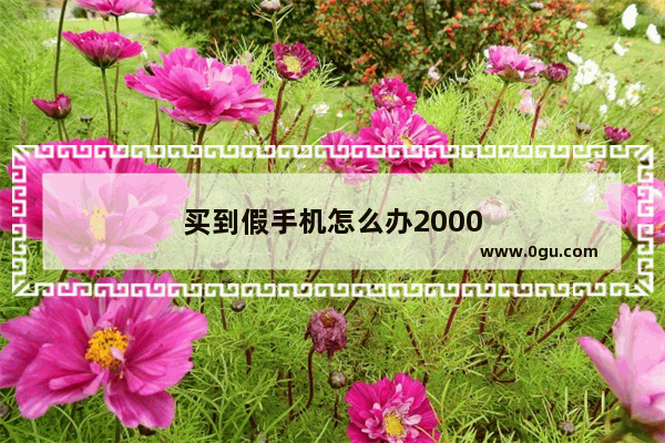 买到假手机怎么办2000