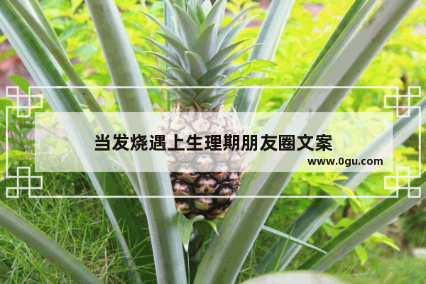 当发烧遇上生理期朋友圈文案