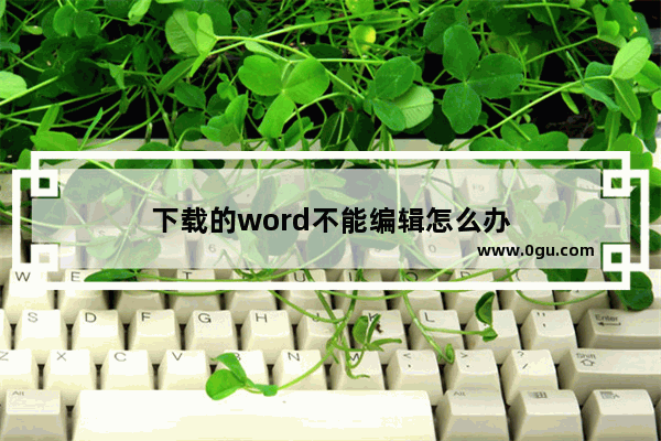 下载的word不能编辑怎么办