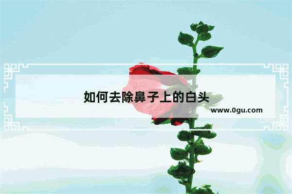 如何去除鼻子上的白头