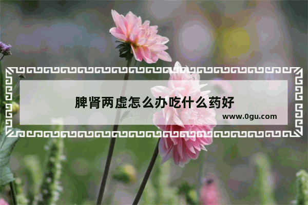 脾肾两虚怎么办吃什么药好